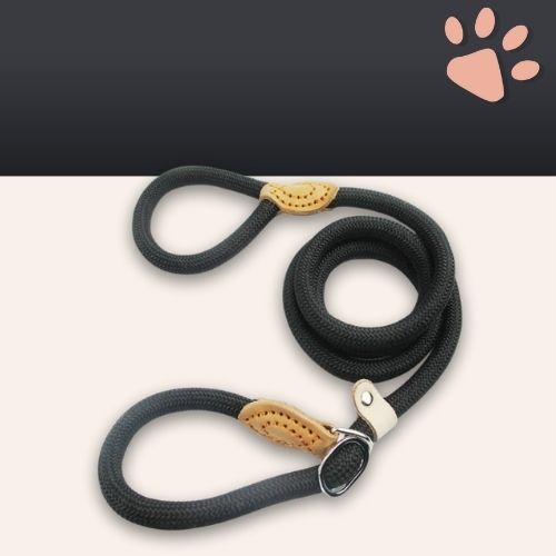 Laisse pour chien avec collier coulissant en nylon pour petits, moyens et grands chiens jujucollarleash la niche de jules noir