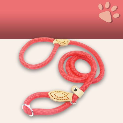 Laisse pour chien avec collier coulissant en nylon pour petits, moyens et grands chiens jujucollarleash la niche de jules rouge