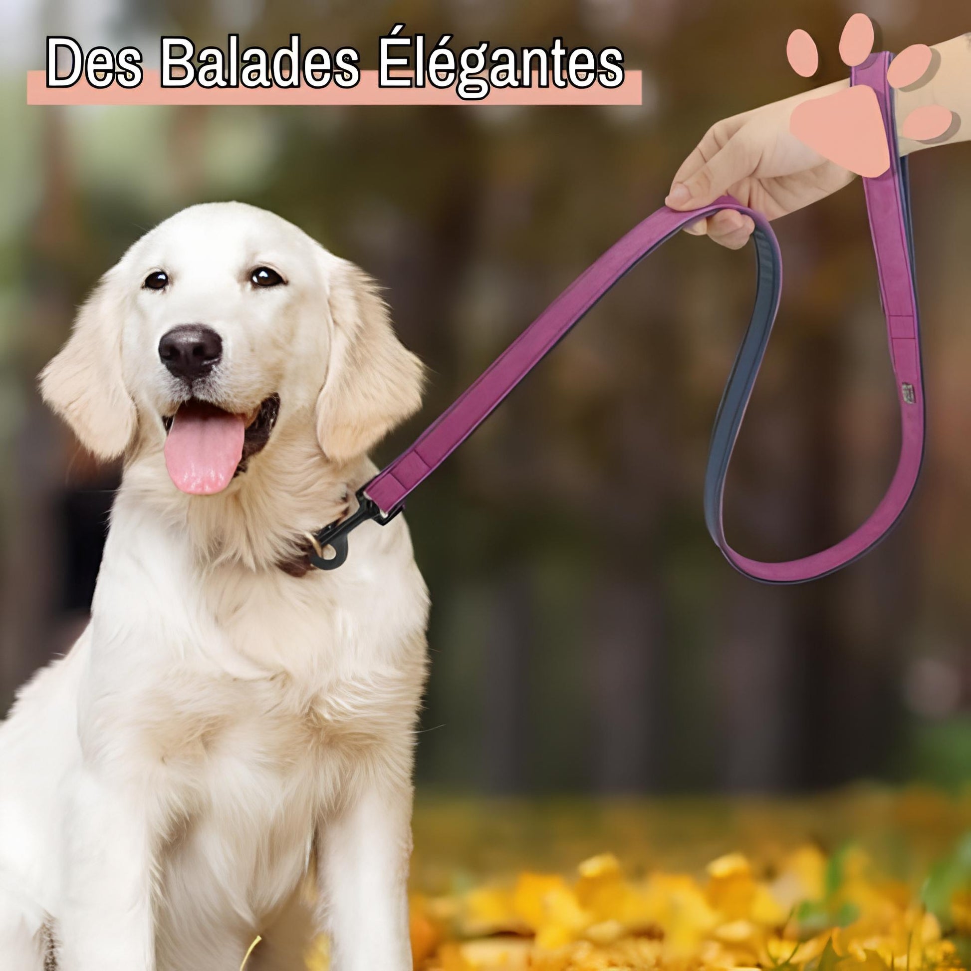 laisse pour chien cuir pu la niche de jules jujusecureleash élégante