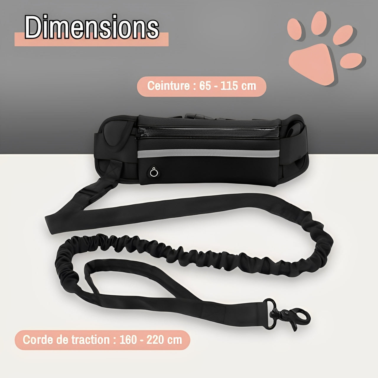 laisse pour chien mains libres jujurunleash la niche de jules dimensions
