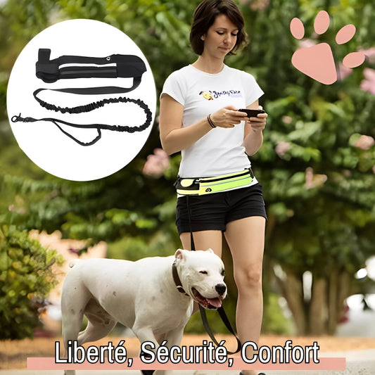 laisse pour chien mains libres jujurunleash la niche de jules liberté