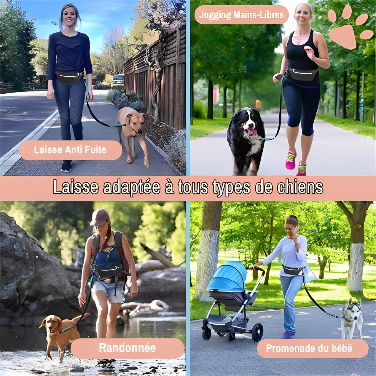 LAISSE MAINS-LIBRES POUR CHIEN | JUJURUNLEASH™  laisse adaptée