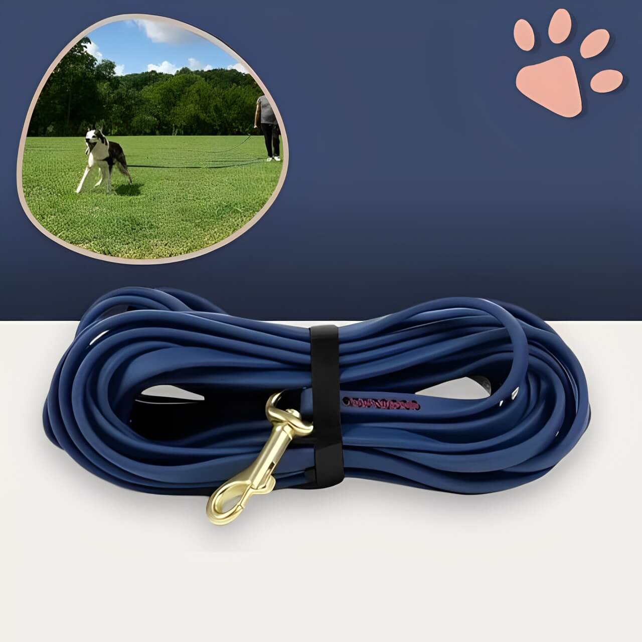 laisse pvc pour chien jujupvcleash la niche de jules bleu