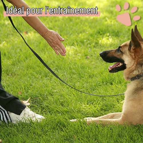 Laisse pour Chien - PVC Imperméable - Entrainement | JuJuPVCLeash™