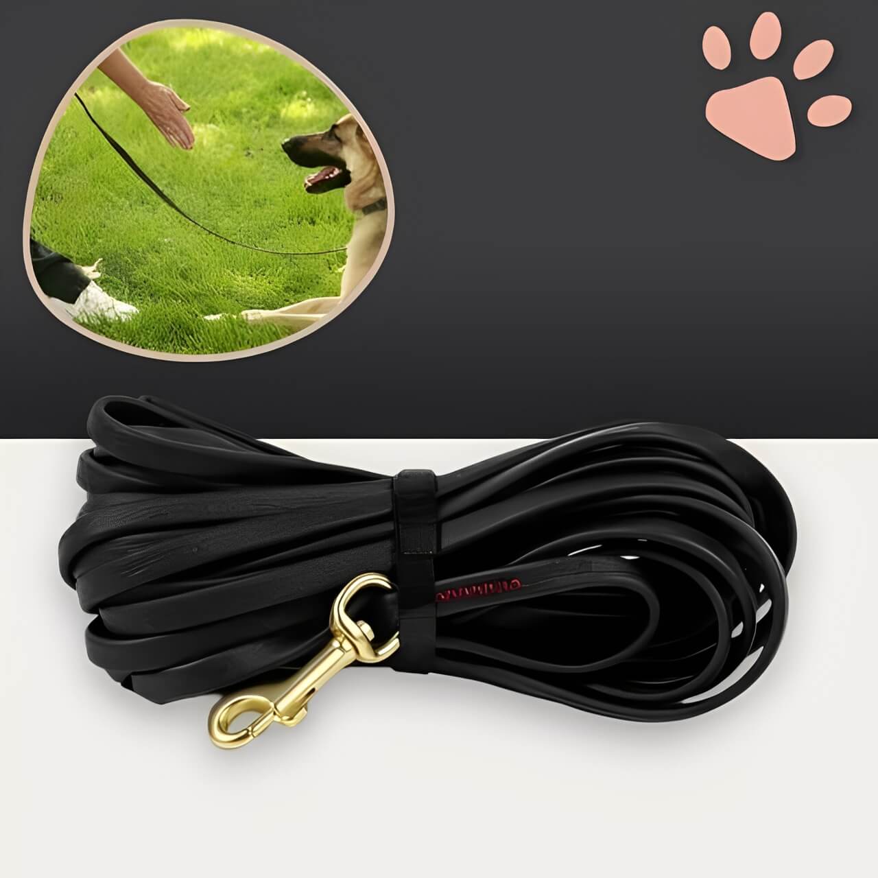 laisse pvc pour chien jujupvcleash la niche de jules noir