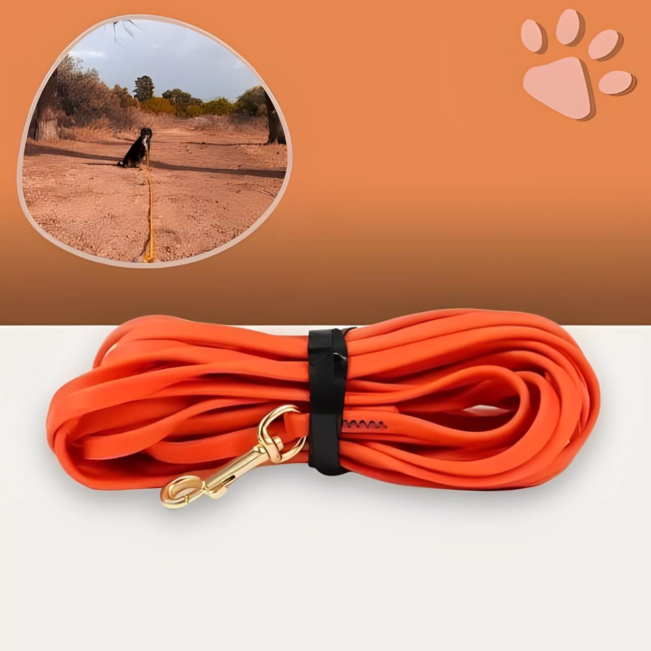 laisse pvc pour chien jujupvcleash la niche de jules orange