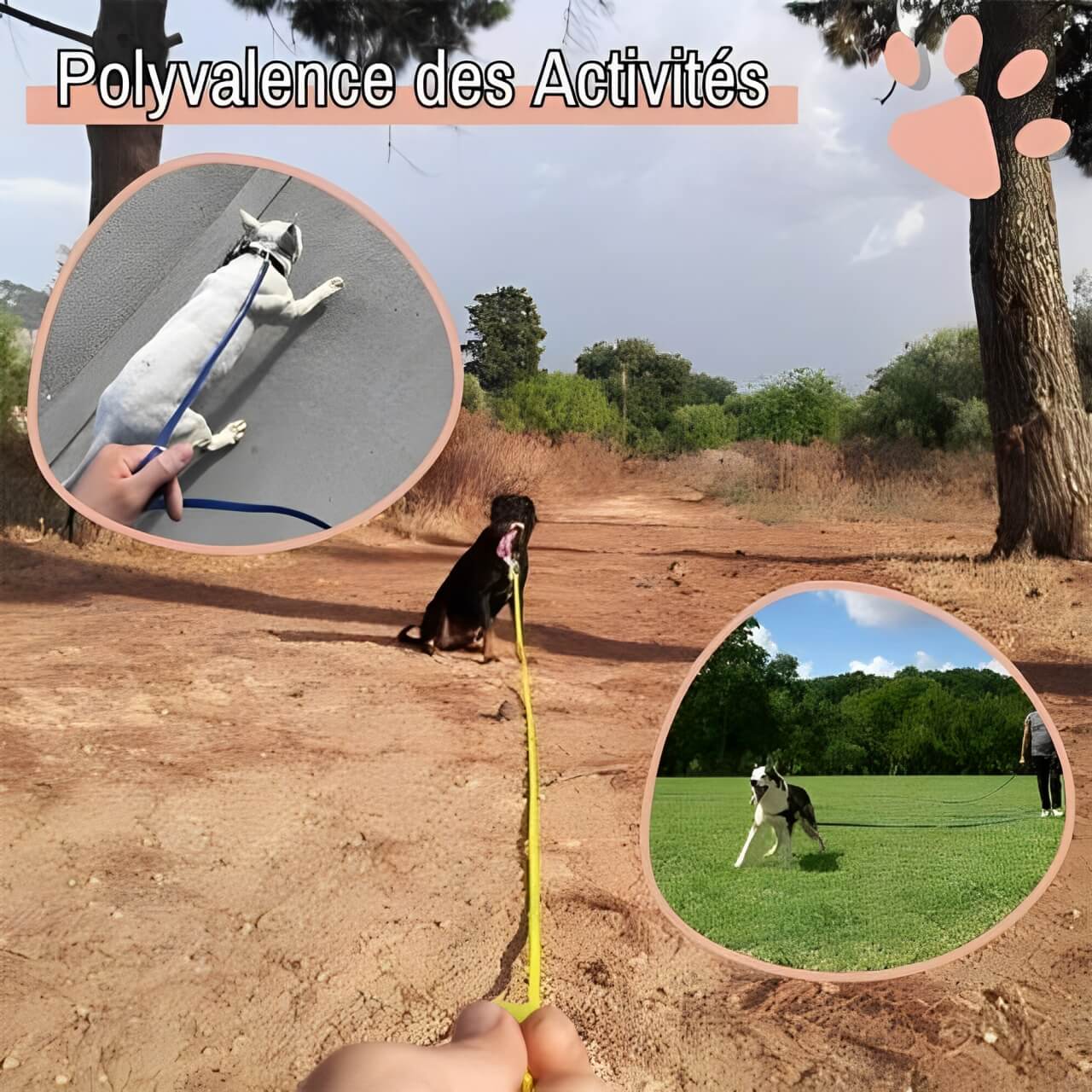 laisse pvc pour chien jujupvcleash la niche de jules polyvalence