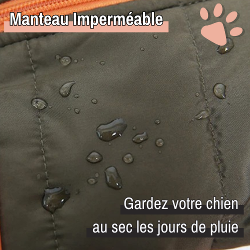 manteau veste harnais hiver imperméable pour petit chien la niche de jules jujupuppyjacket imperméable