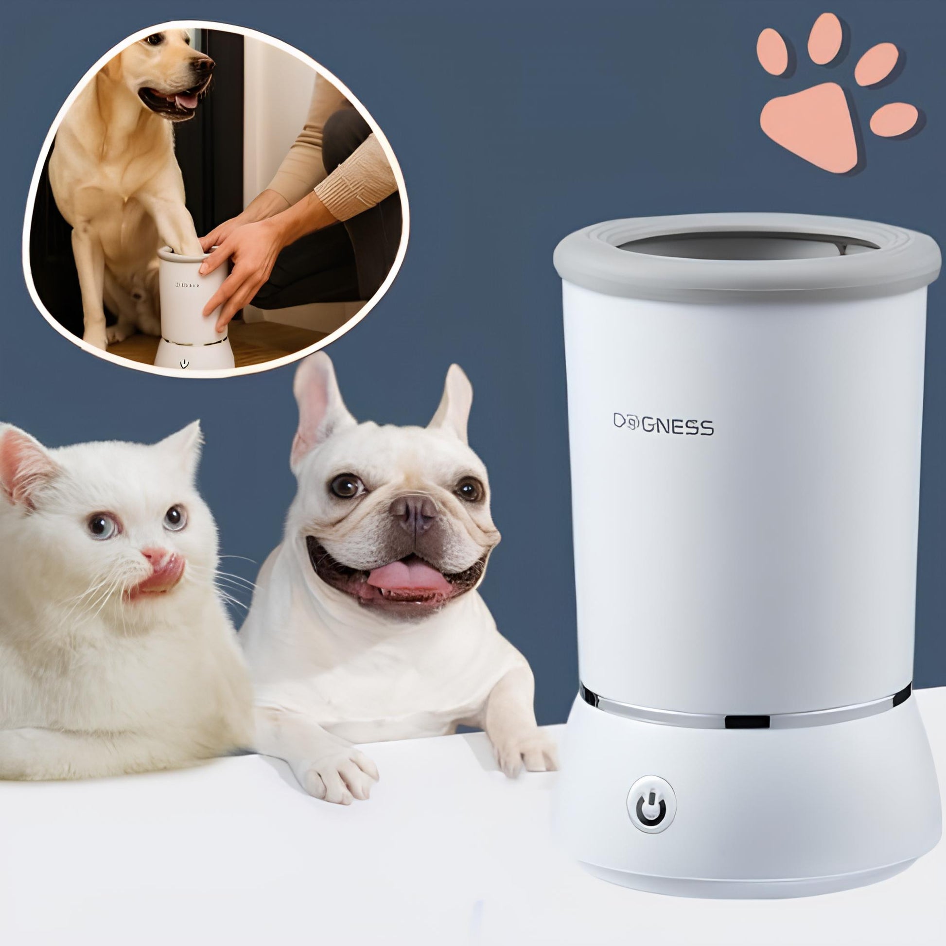 nettoyeur de pattes pour chien automatique jujucleanpawsauto la niche de jules blanc