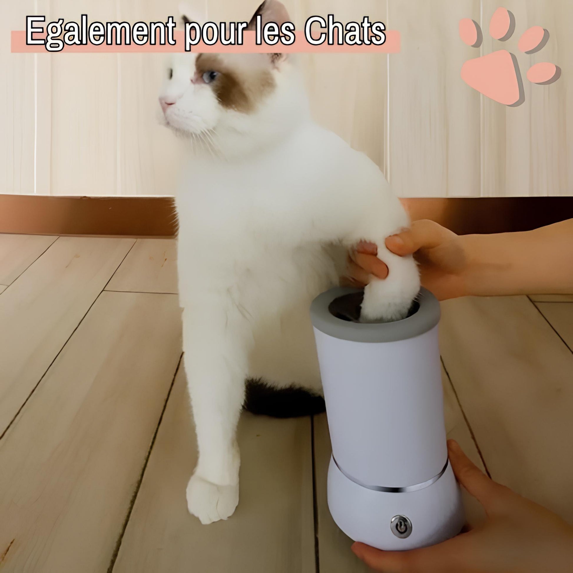 nettoyeur de pattes pour chien automatique jujucleanpawsauto la niche de jules également pour les chats