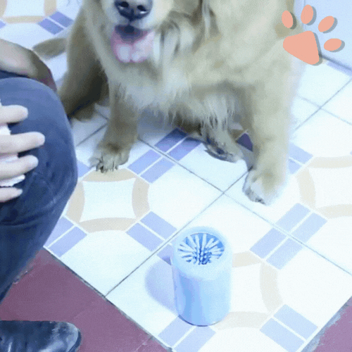 nettoyeur de pattes pour chien manuel jujucleanpawscup la niche de jules gif