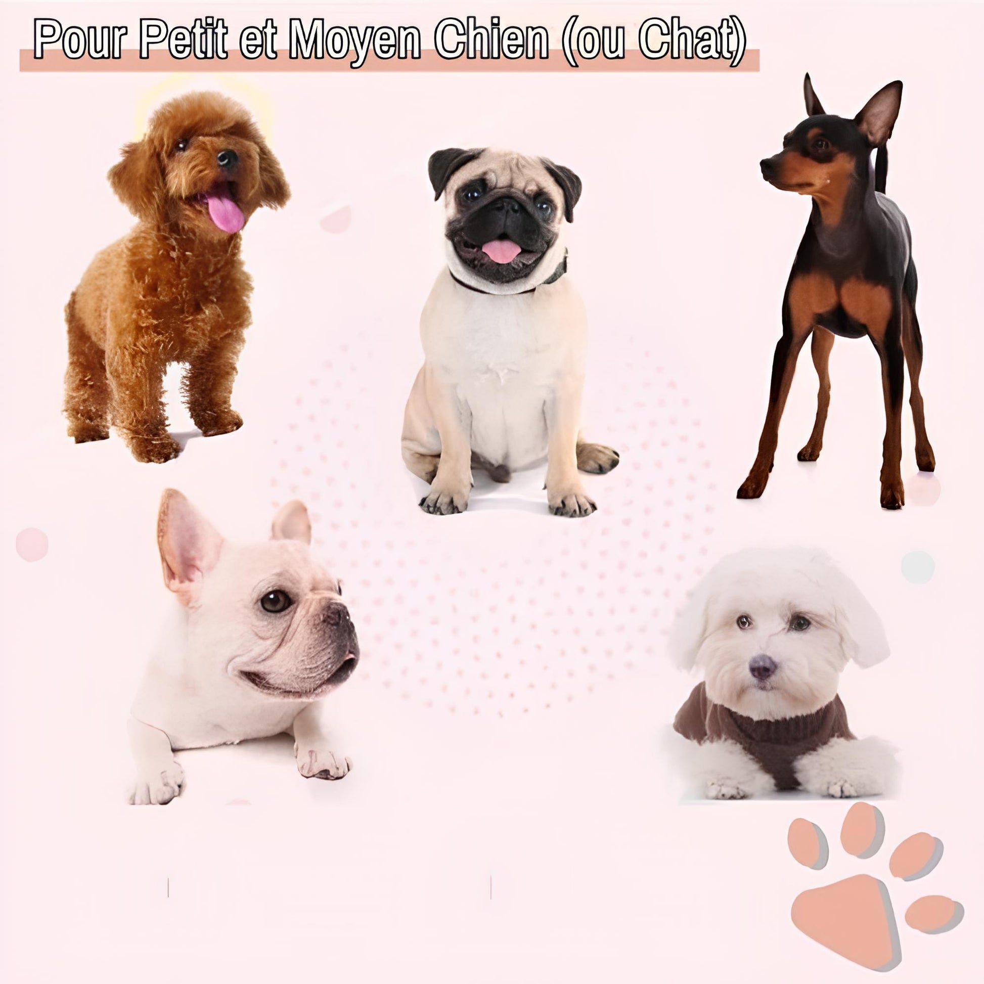 nettoyeur de pattes pour chien semi automatique jujucleanpawsspin la niche de jules petit et moyen chien chat