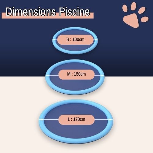 piscine pour chien jets eau jujusplashpool la niche de jules dimensions