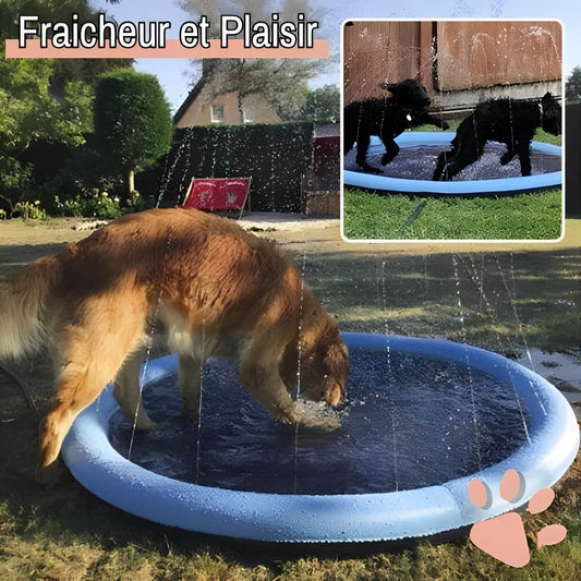 piscine pour chien jets eau jujusplashpool la niche de jules fraicheur plaisir