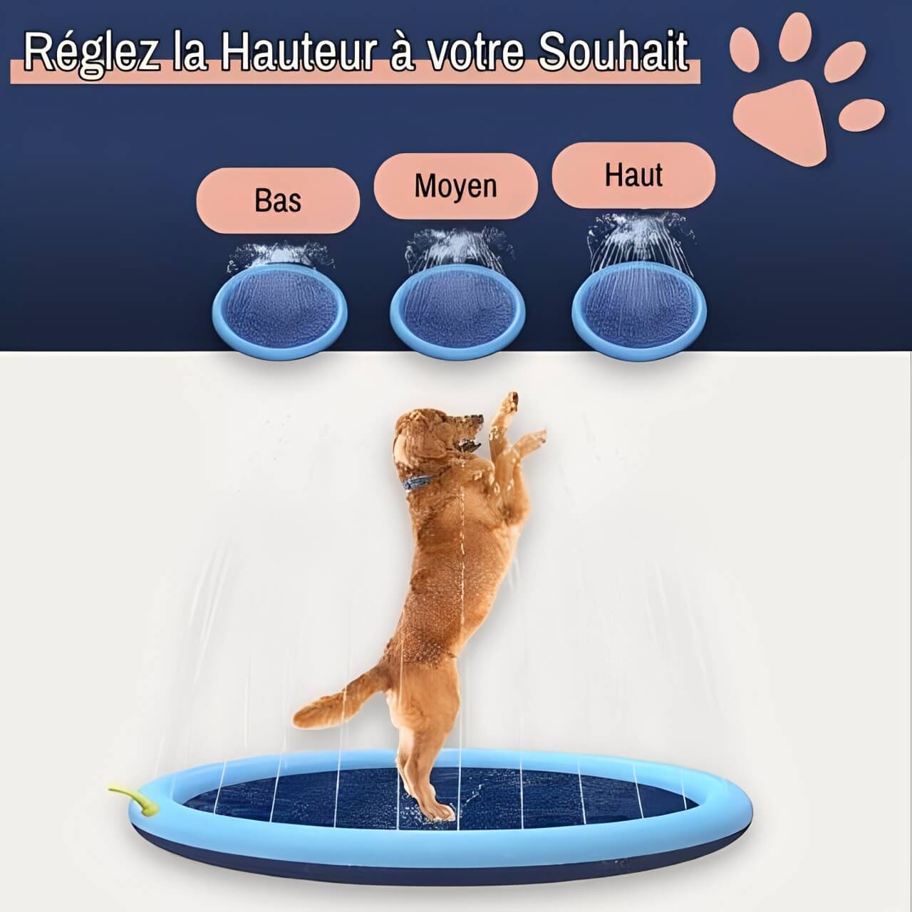 piscine pour chien jets eau jujusplashpool la niche de jules jets d'eau réglable