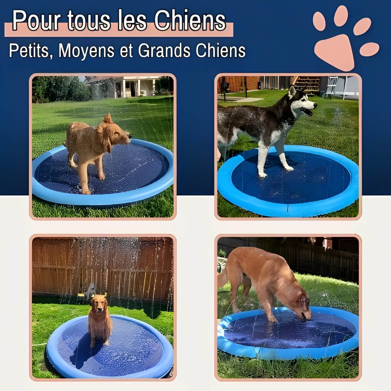 piscine pour chien jets eau jujusplashpool la niche de jules petit moyen grand chien