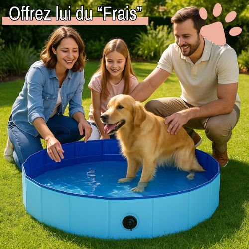piscine pour chien pliable jujuspoolfold la niche de jules frais famille heureuse