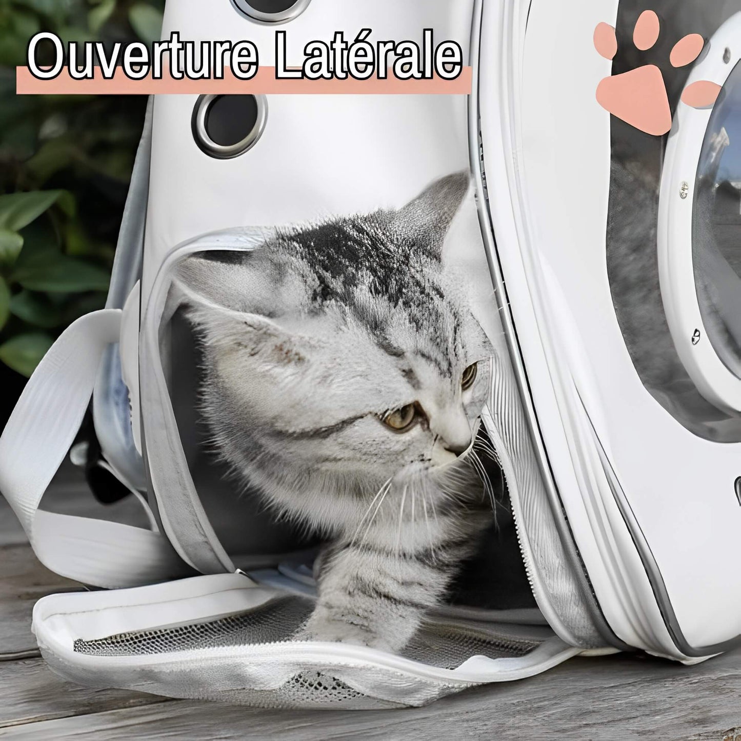 Sac a Dos pour Chat Grande fenêtre JuJuViewBag  la niche de jules ouverture laterale