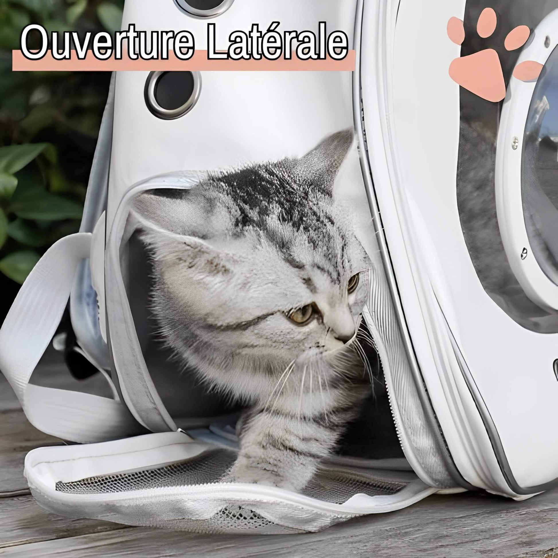 Sac a Dos pour Chat Grande fenêtre JuJuViewBag  la niche de jules ouverture laterale