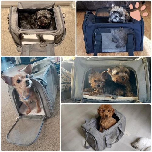 Sac de Transport pour Chien ou Chat - Approuvé par les compagnies aériennes (Sauf taille XL) | JuJuPetBag™