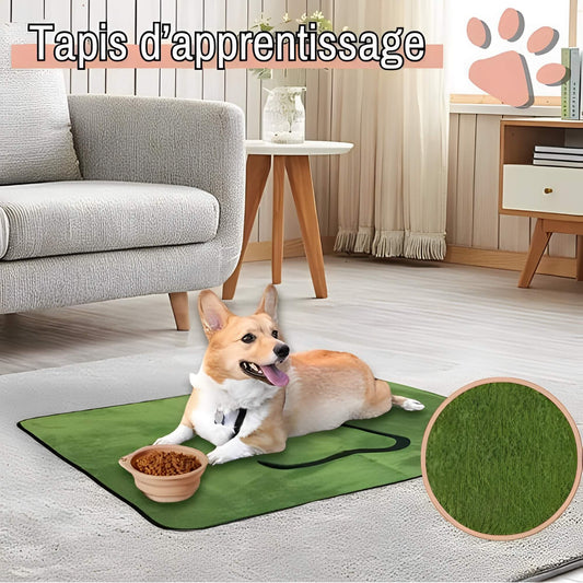 tapis apprentissage pour chien lavable JujutrainPad tapis educatif