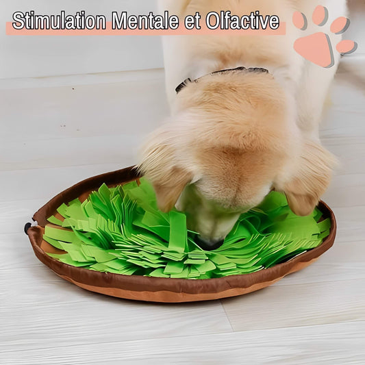 tapis de fouille pour chien stimulation mentale olfactive JuJuSniffPlay la niche de jules