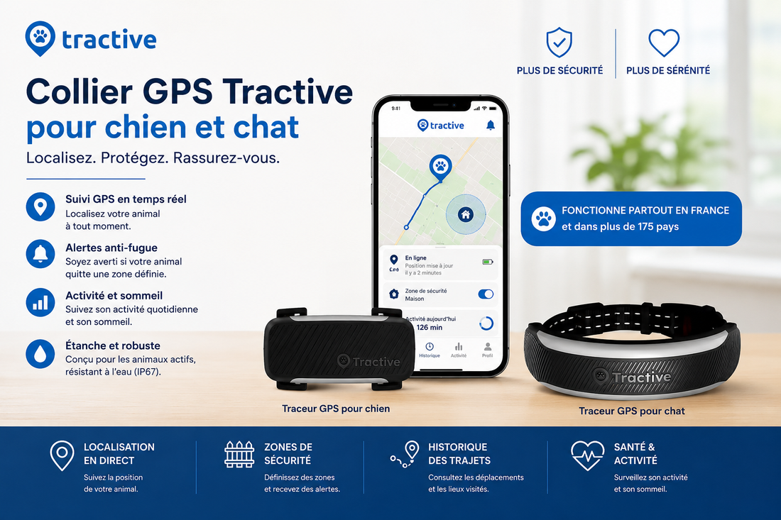 Collier GPS Tractive Parenaire Officiel France La Niche de Jules