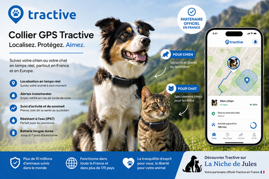 Collier GPS tractive pour chien et chien la niche de jules partenaire officiel France