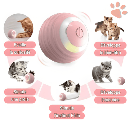 Balle Intéractive pour Chat - Jouet Intéractif Rechargeable - Câble USB Fourni | JuJuSmartCatBall™