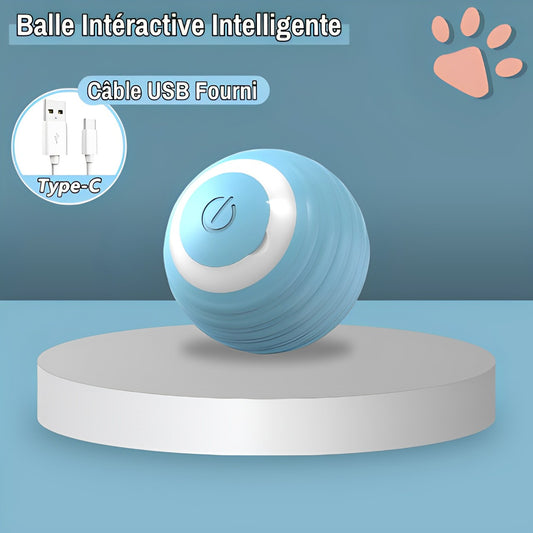 Balle Intéractive pour Chat - Jouet Intéractif Rechargeable - Câble USB Fourni | JuJuSmartCatBall™