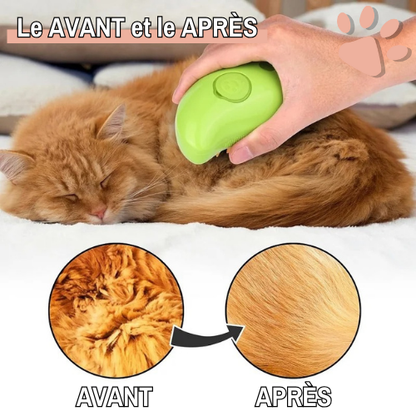 Brosse vapeur pour chat et chien jujuVapBrosse la niche de jules avant après