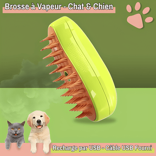 Brosse vapeur pour chat et chien jujuVapBrosse la niche de jules vert