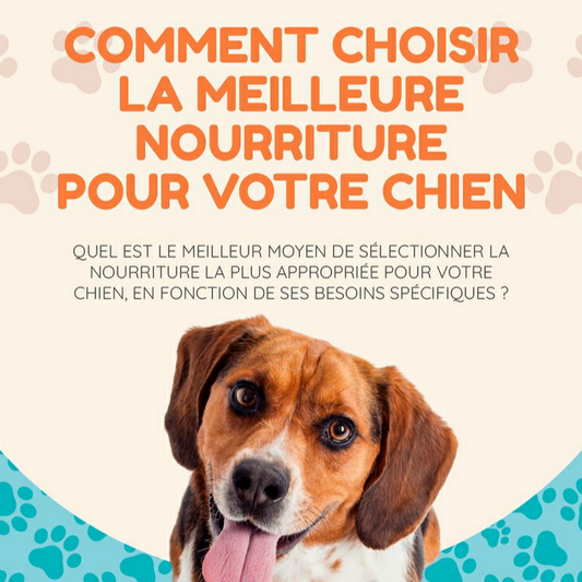 Ebook | Comment choisir la meilleure nourriture pour votre chien ? - 7 pages