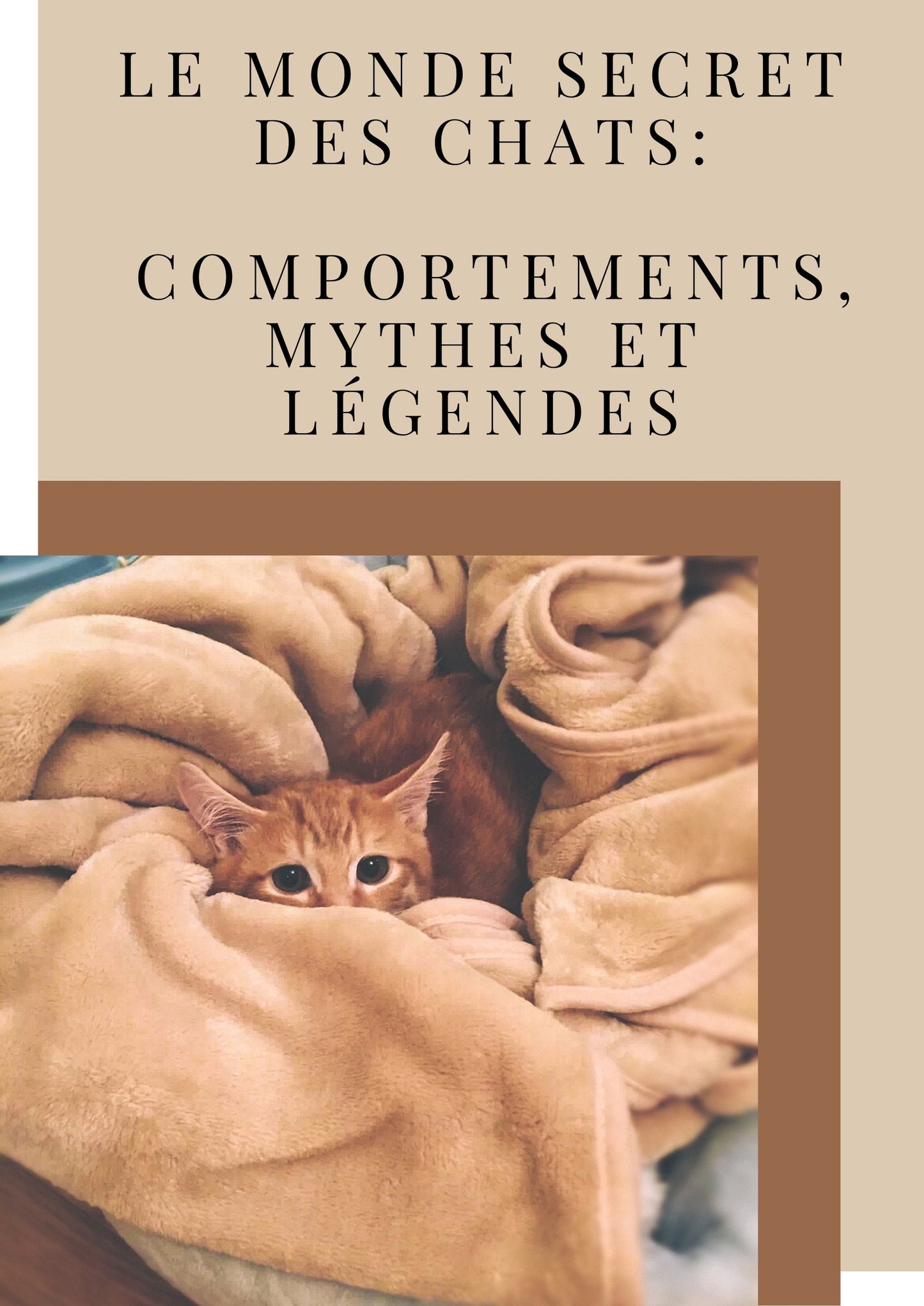 Ebook | Le Monde Secret des Chats : Comportements, Mythes et Légendes - 31 pages