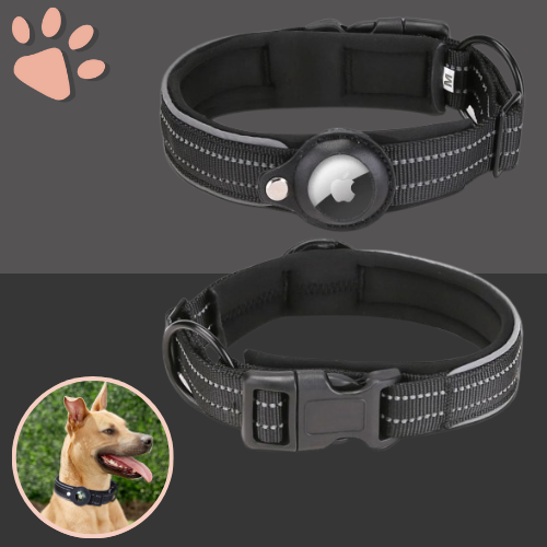 Collier chien pour airtag jujufindog la niche de jules noir