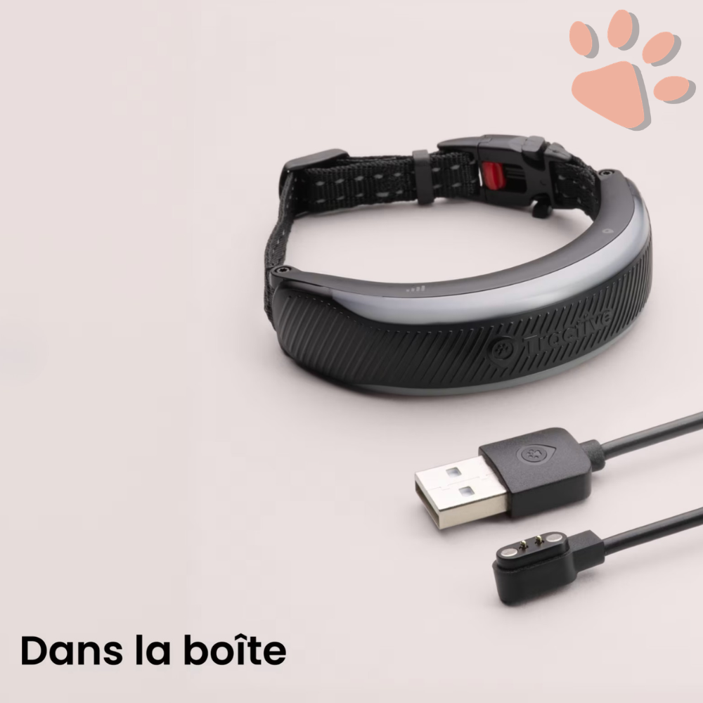 Collier gps pour chat tractive partenaire officiel france la niche de jules contenu boite