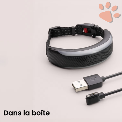 Collier gps pour chat tractive partenaire officiel france la niche de jules contenu boite