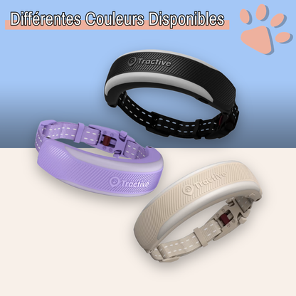 Collier gps pour chat tractive partenaire officiel france la niche de jules différentes couleurs
