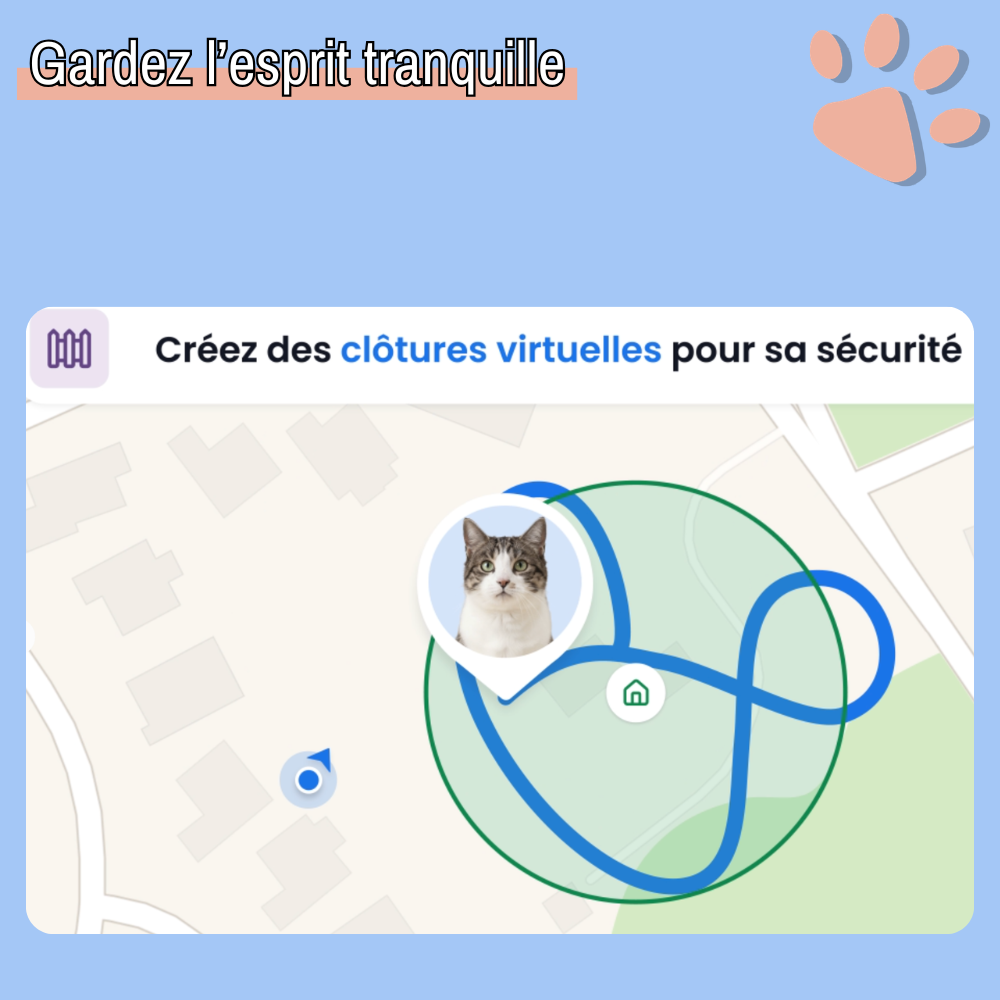 Collier gps pour chat tractive partenaire officiel france la niche de jules esprit tranquille
