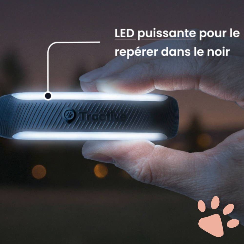 Collier gps pour chat tractive partenaire officiel france la niche de jules led éclairage