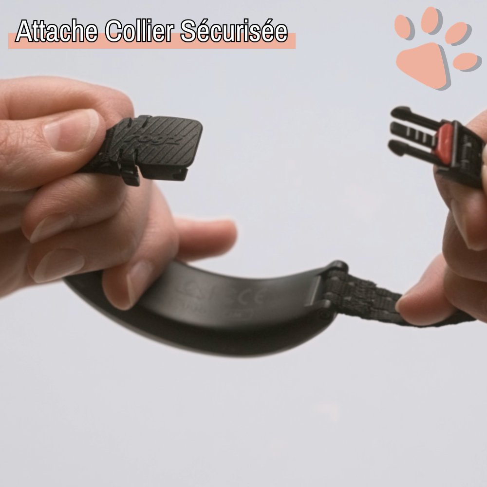 Collier gps pour chat tractive partenaire officiel france la niche de jules attache sécurisée