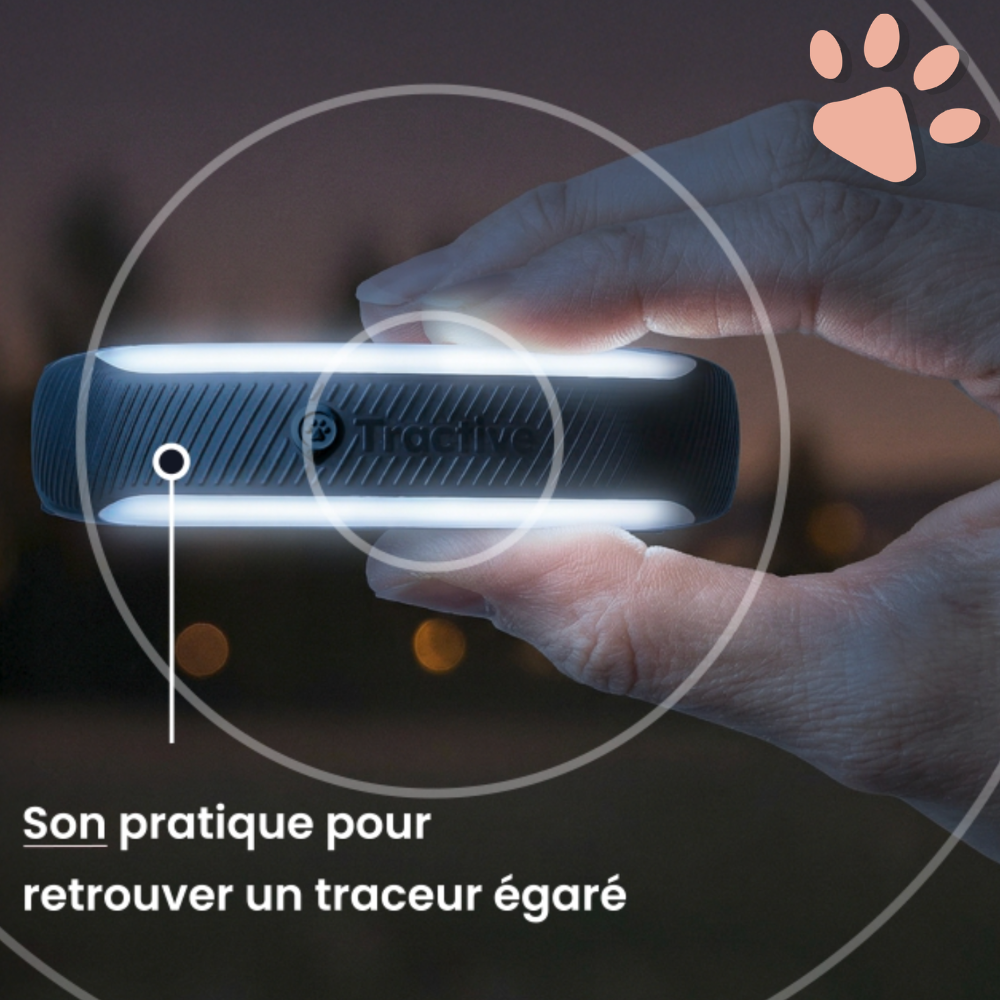 Collier gps pour chat tractive partenaire officiel france la niche de jules sonore