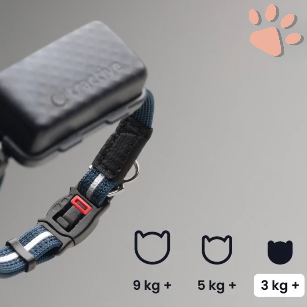 Collier gps pour chat tractive partenaire officiel france la niche de jules plusieurs tailles