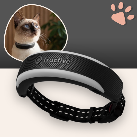 Collier GPS Tractive pour Chat | La Niche de Jules - Partenaire Officiel