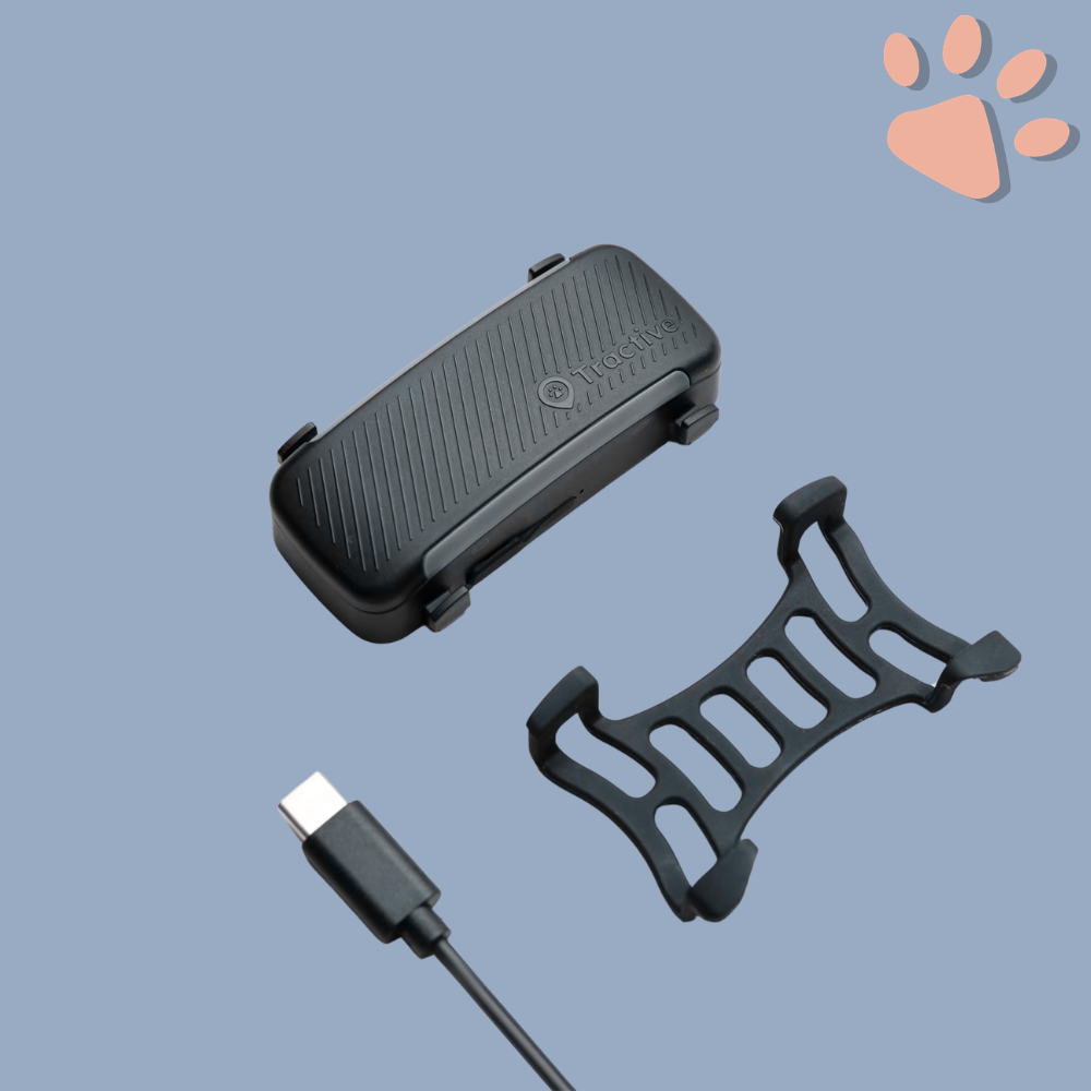 Collier gps pour chien tractive partenaire officiel france la niche de jules accessoire détails