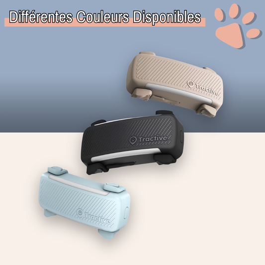 Collier GPS Tractive pour Chien | La Niche de Jules - Partenaire Officiel