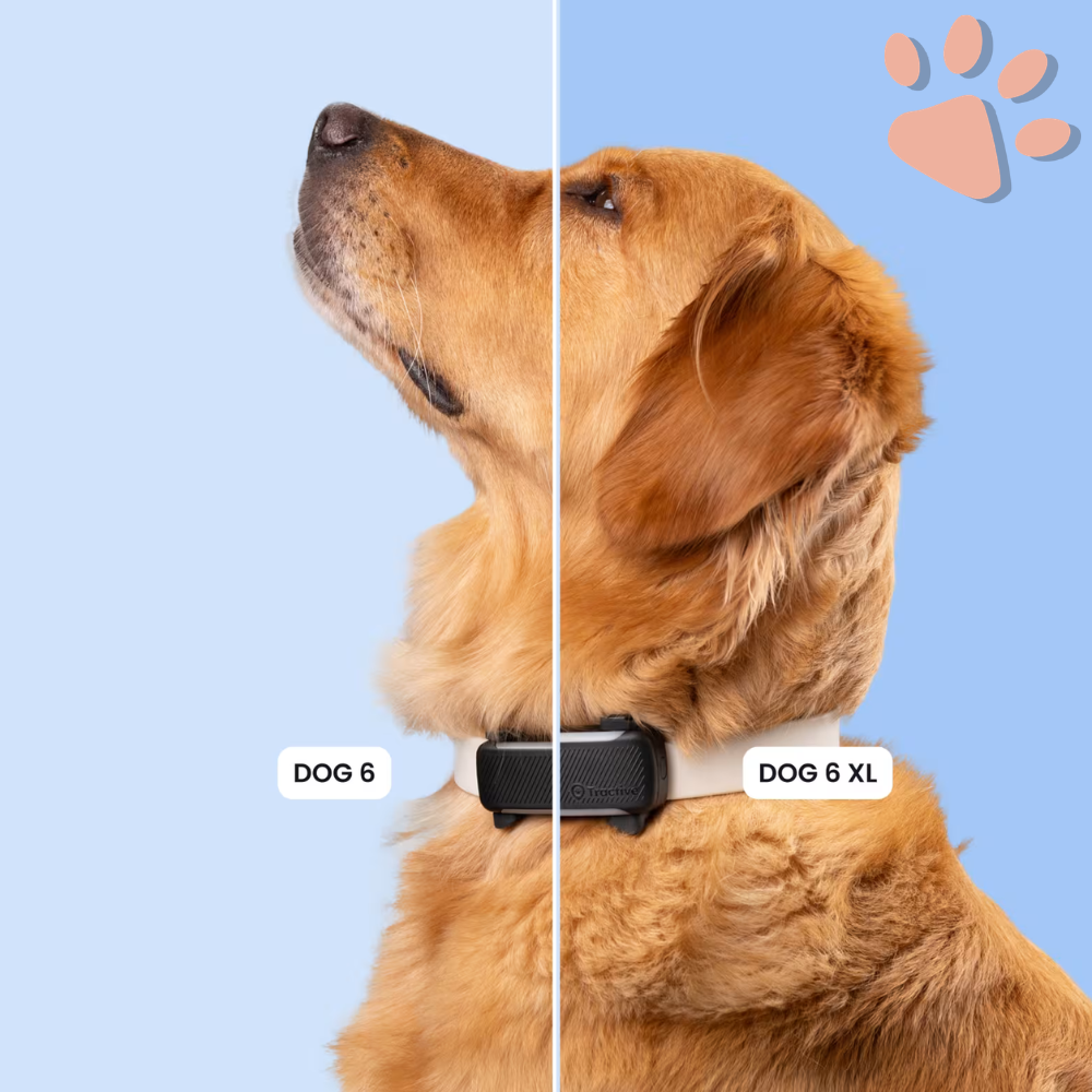 Collier gps pour chien tractive partenaire officiel france la niche de jules taille collier gps