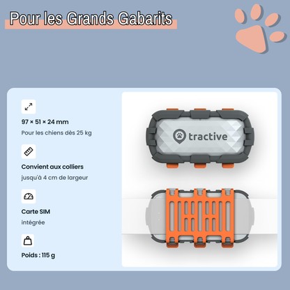 Collier gps pour chien tractive partenaire officiel france la niche de jules modèle grand chien