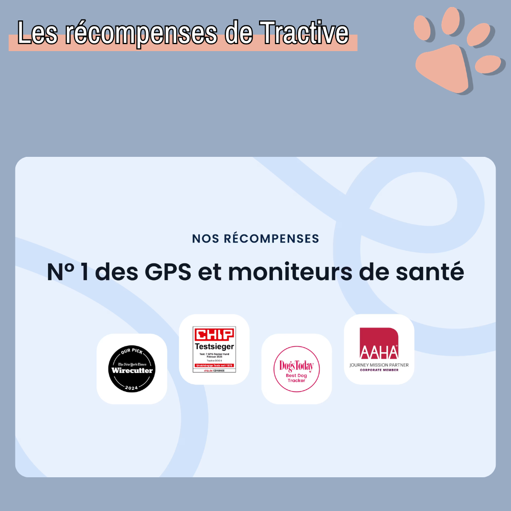 Collier gps pour chien tractive partenaire officiel france la niche de jules gps de confiance