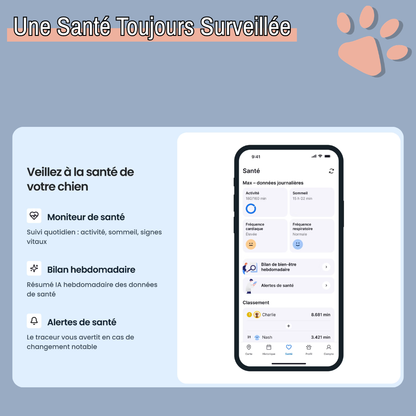 Collier gps pour chien tractive partenaire officiel france la niche de jules santé surveillée